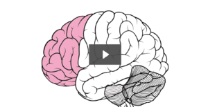 , Understand Chiropractic, Goldsboro Spine Center